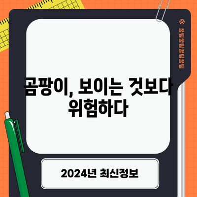 곰팡이 낀 음식 섭취 시 위험성 | 30초 요약