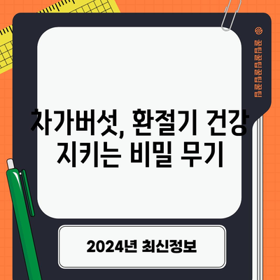 차가버섯의 면역력 증강 효능 | 환절기에 맞서세요
