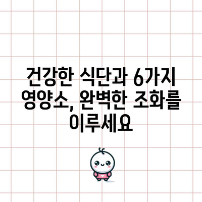건강한 식단 6가지 | 건강한 몸 만들기