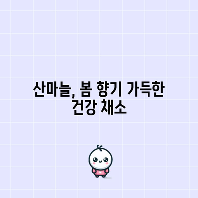 산마늘의 놀라운 5가지 능력 | 건강과 요리에 활용하기