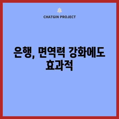 은행의 놀라운 효능 1