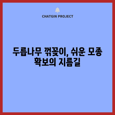 두릅나무 번식 | 꺾꽂이를 통한 쉬운 모종 확보