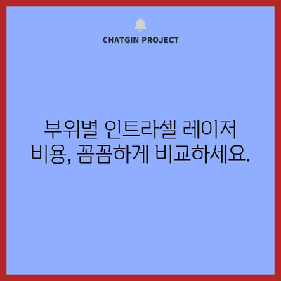 인트라셀 레이저 비용 가이드 | 예산 관리