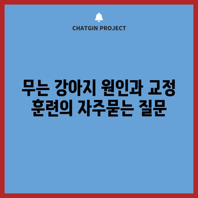 무는 강아지 원인과 교정 훈련