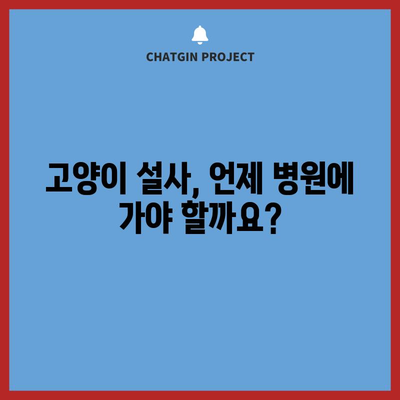 고양이 설사의 원인 | 숨겨진 메시지 해독
