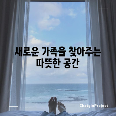 강아지 보호소 | 의미와 역할