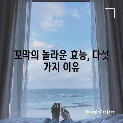 꼬막의 다섯 가지 놀라운 효능 | 건강과 요리에 활용