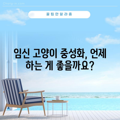 임신 고양이 중성화 지침 | 증상, 수술 시기, 이유