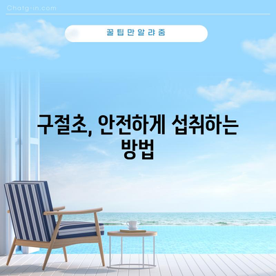 구절초의 4가지 효능과 사용법