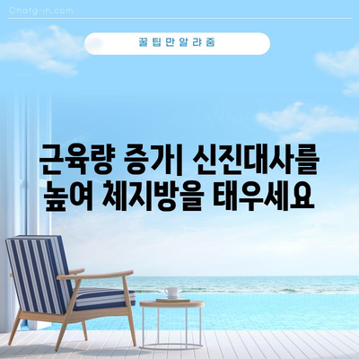 체지방을 효과적으로 줄이는 과학적 방법