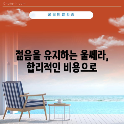 울쎄라 비용 | 젊은 피부를 위한 가치적 투자