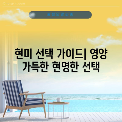 현미의 7가지 건강 효능과 선택 가이드 | 영양소 풍부한 식단을 위한 비결