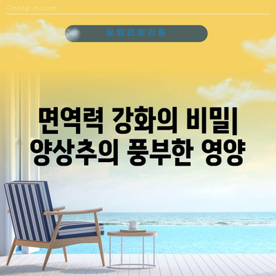 양상추, 비타민과 미네랄이 풍부한 6가지 효능