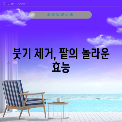 붉은 보석 팥의 다양한 6가지 건강상의 이점