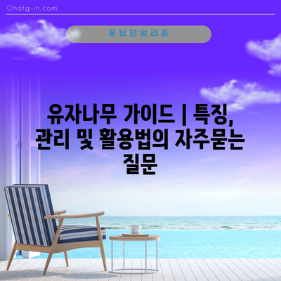 유자나무 가이드 | 특징, 관리 및 활용법