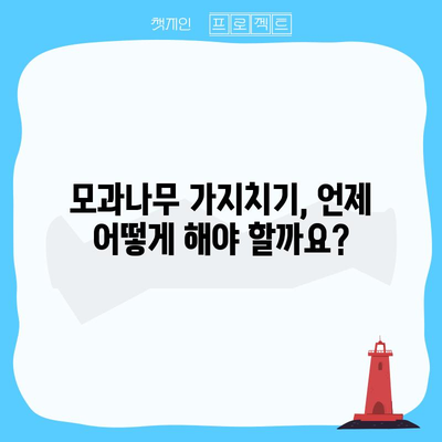 모과나무 가지치기 완벽 안내서