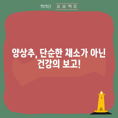 양상추의 과소평가된 효능 | 영양소가 풍부한 슈퍼푸드