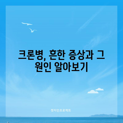 크론병의 증상과 식단 권장 사항