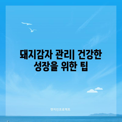 돼지감자 재배 완벽 가이드 | 파종, 수확, 심기 시기