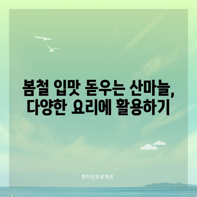 산마늘의 놀라운 5가지 능력 | 건강과 요리에 활용하기