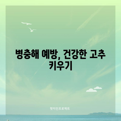노지 고추 재배 | 성공을 위한 필수 원칙