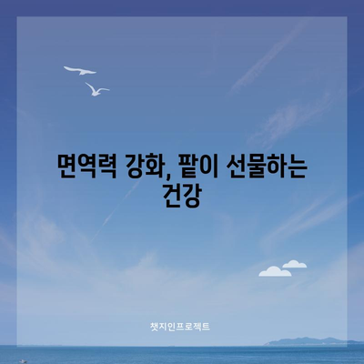 붉은 보석 팥의 다양한 6가지 건강상의 이점