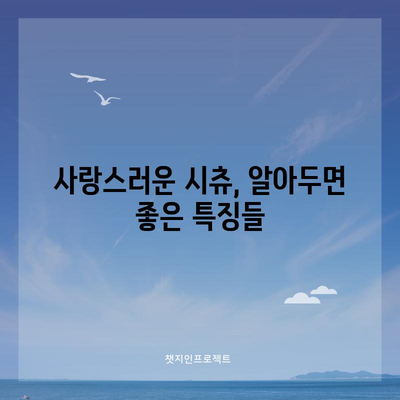 시츄의 수명과 특징 총정리