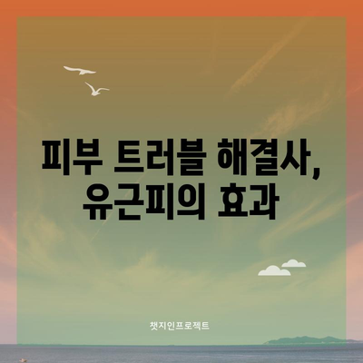 유근피의 6가지 놀라운 약효