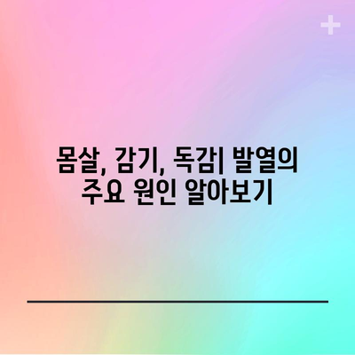 발열의 원인과 치료법