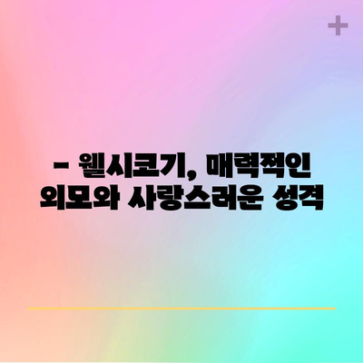 웰시코기의 특징과 키우는 팁