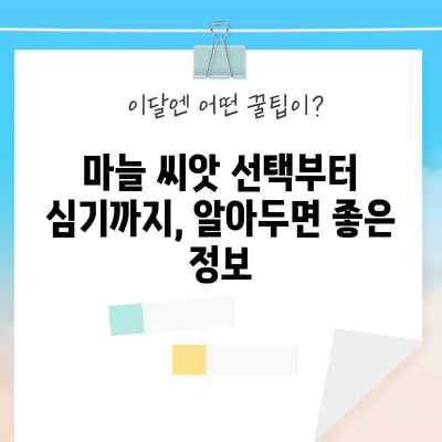 마늘 파종과 홍산 마늘 심기 | 시기와 팁