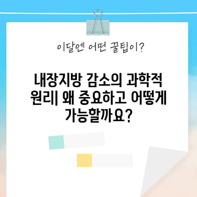 내장지방 빠르게 없애기 | 과학적 근거에 기반한 방법