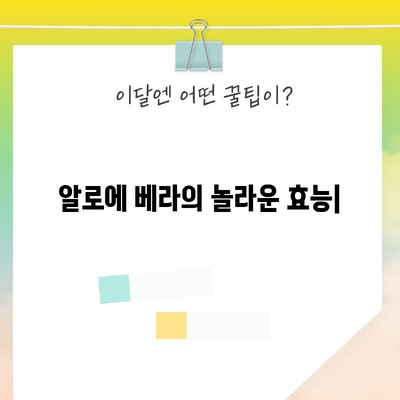 알로에 베라의 다양한 건강상 이점 | 피부 관리부터 전신 건강까지