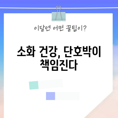 단호박 | 건강 문제를 해결하는 놀라운 효능