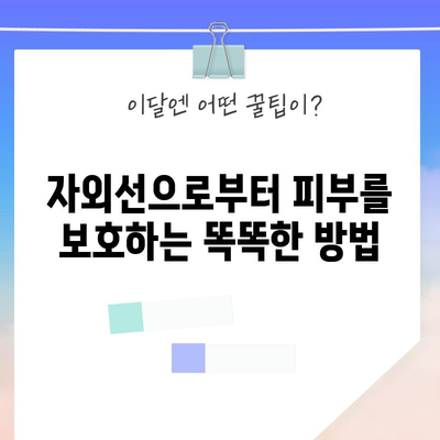 여름철 피부 관리 가이드 | 건강하고 빛나는 피부를 위한 팁