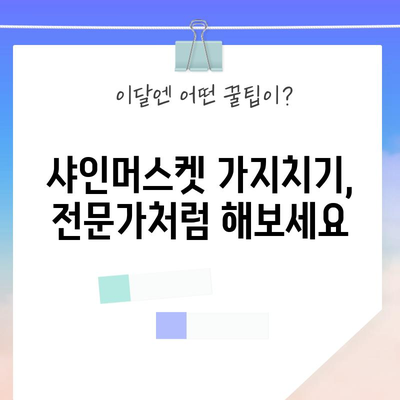 샤인머스켓 묘목 심기와 가지치기 | 풍성한 수확을 위한 비결