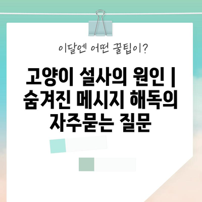 고양이 설사의 원인 | 숨겨진 메시지 해독