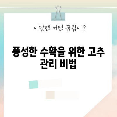 고추 모종 심기와 관리 | 풍부한 수확을 위한 비결