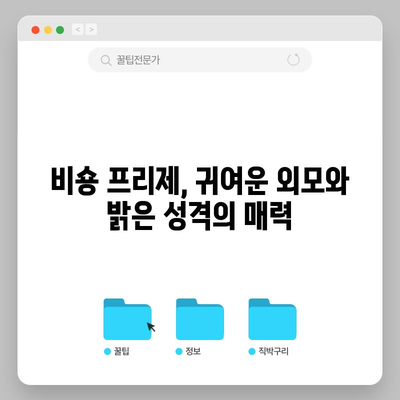 비숑 프리제의 분양 가격과 성격