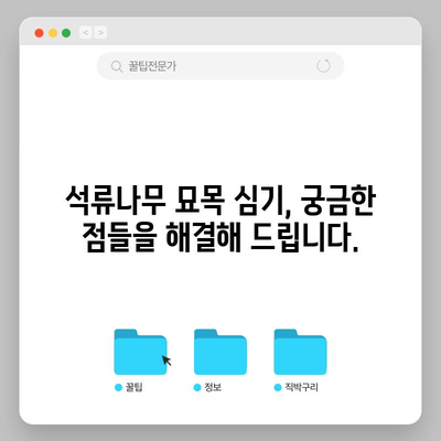 석류나무 묘목 심기 가이드 | 성공을 위한 방법과 시기