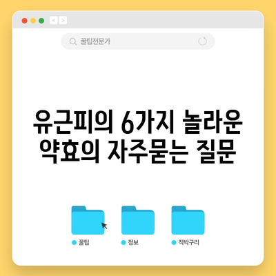 유근피의 6가지 놀라운 약효