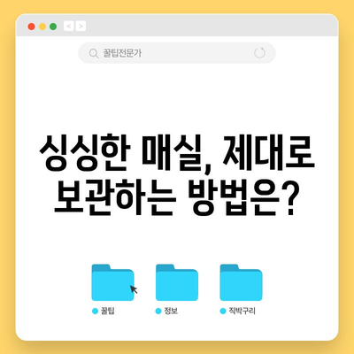 매실 수확 완벽 가이드 | 신선한 청매실과 황매실