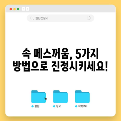 메스꺼움과 오심을 완화하는 5가지 검증된 방법