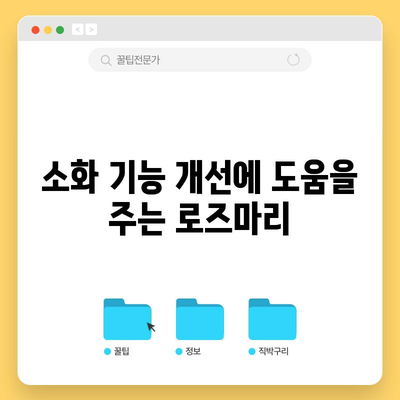 로즈마리 | 향긋한 허브의 5가지 건강 효과
