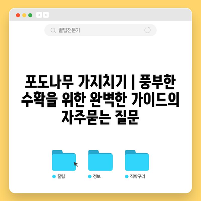 포도나무 가지치기 | 풍부한 수확을 위한 완벽한 가이드