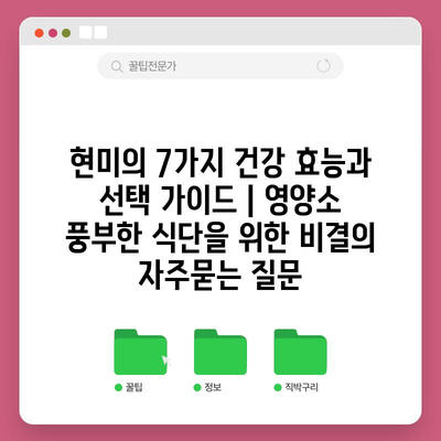현미의 7가지 건강 효능과 선택 가이드 | 영양소 풍부한 식단을 위한 비결