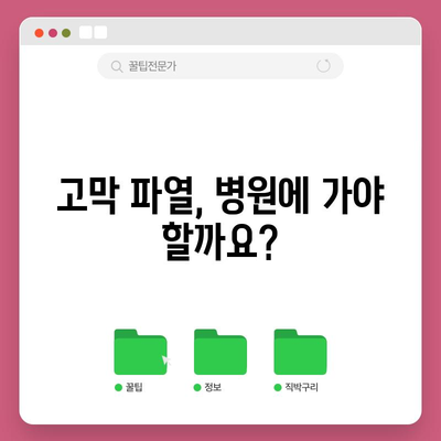 고막 파열 | 증상, 치료, 대처법