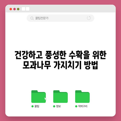모과나무 가지치기 완벽 안내서