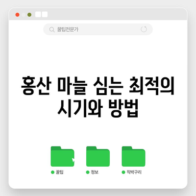 마늘 파종과 홍산 마늘 심기 | 시기와 팁