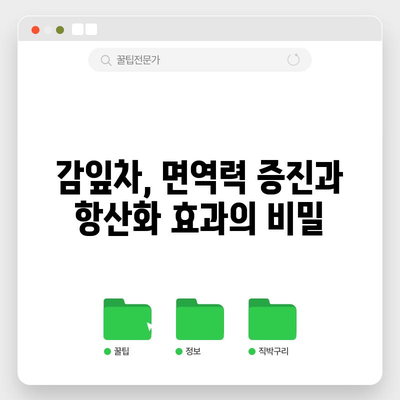 감잎차의 놀라운 효능 | 건강과 웰빙 향상